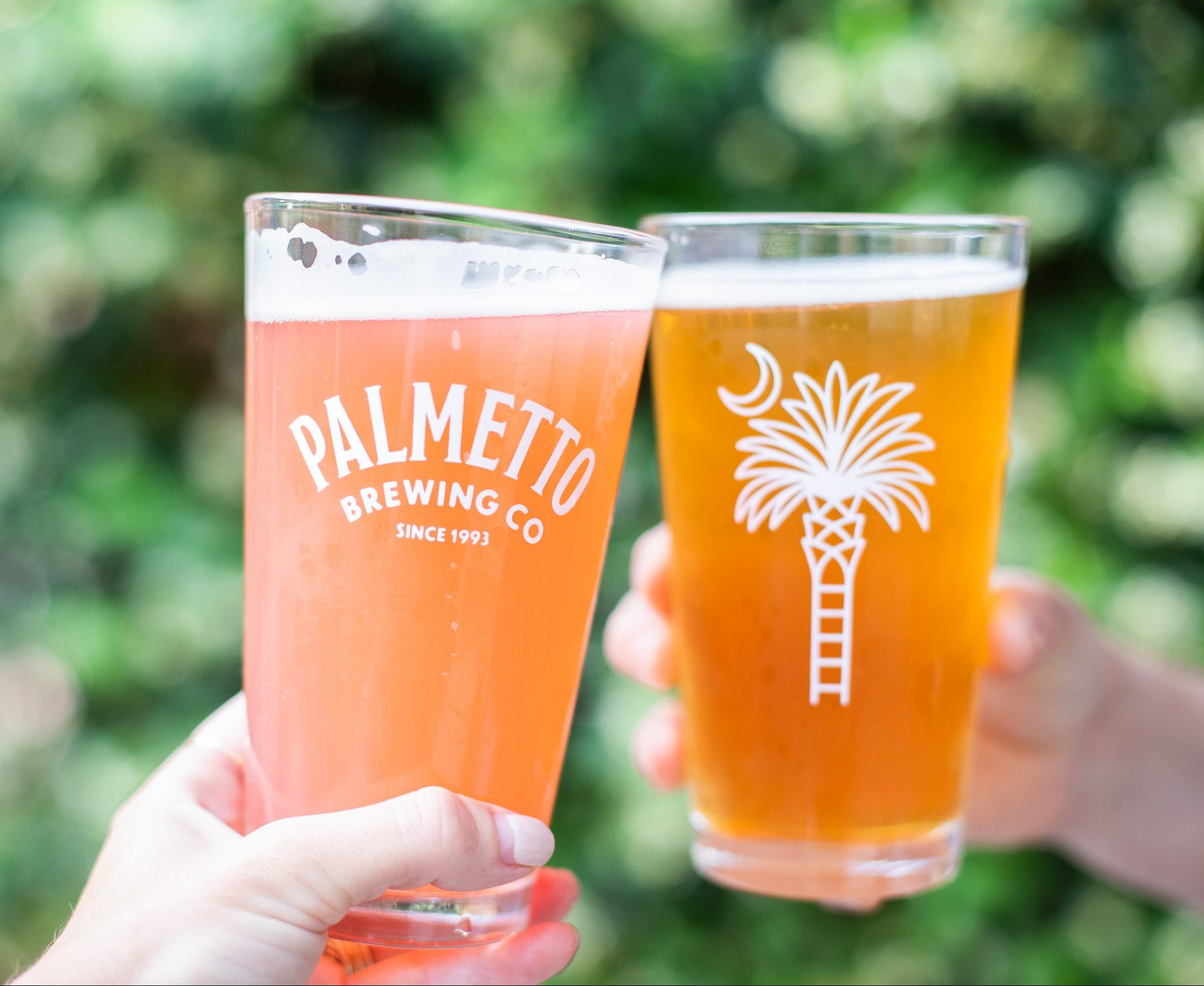 palmetto brewing