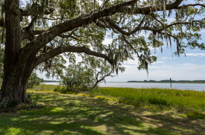 Oyster Roast at the Dill Sanctuary