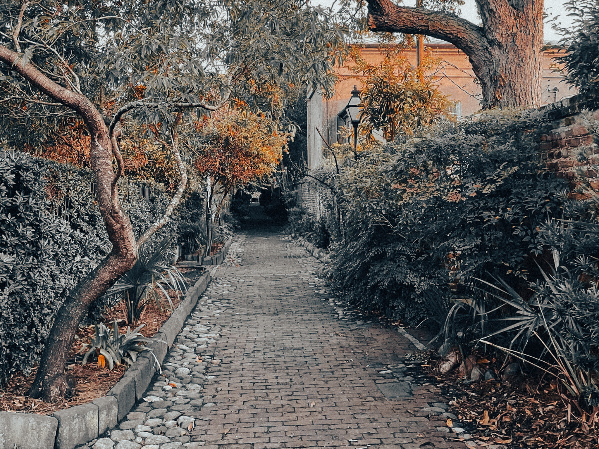 Spirits of the Lowcountry